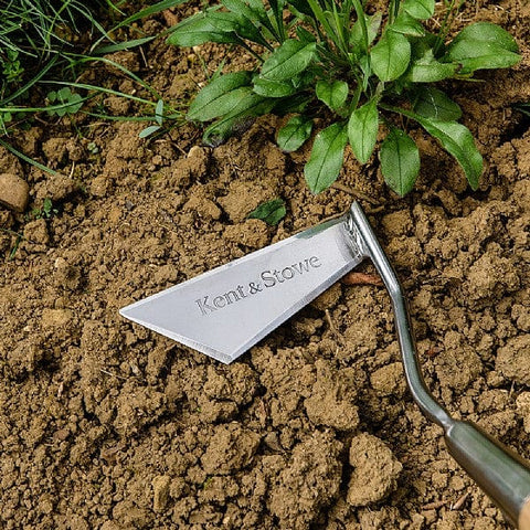 Kent & Stowe Garden Tools Kent & Stowe Long Handled 3 Edge Hoe