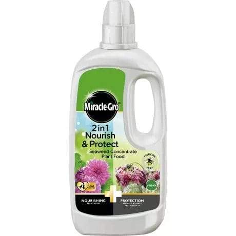 Evergreen Garden Care Plant Food Miracle-Gro® 2 in 1 Nourish & Protect Seaweed/insect disease Plant Food