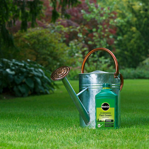 Trowell Garden Centre Lawn Care Products Miracle-Gro EverGreen Fast Green Liquid Concentrate 1 Litre