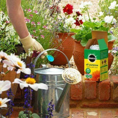 Evergreen Garden Care Garden Plant Feeds Miracle-Gro Grow All Purpose Soluble Plant Food 1kg + 20% Extra