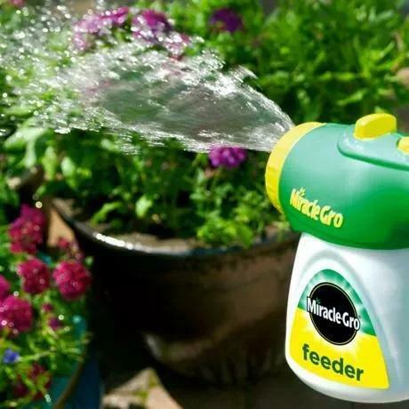 Evergreen Garden Care Garden Plant Feeds Miracle Gro plant feeder