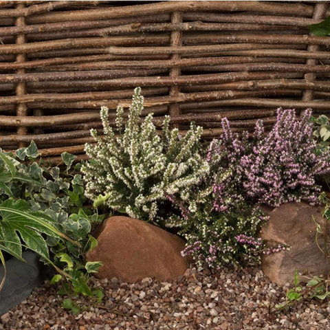 Meadow View Garden Rockery Natural Pea Gravel 10mm