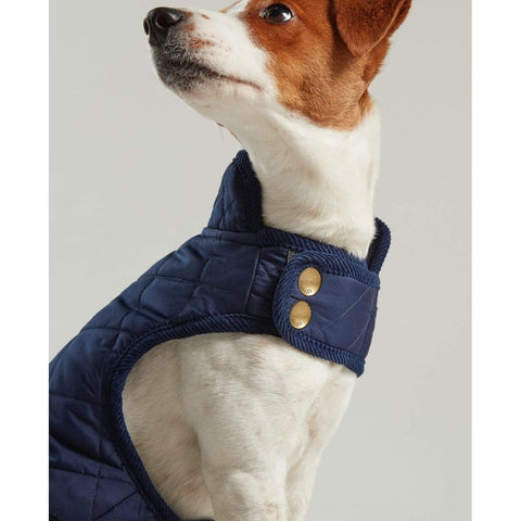Joules Dog Clothing Navy Quilted Coat