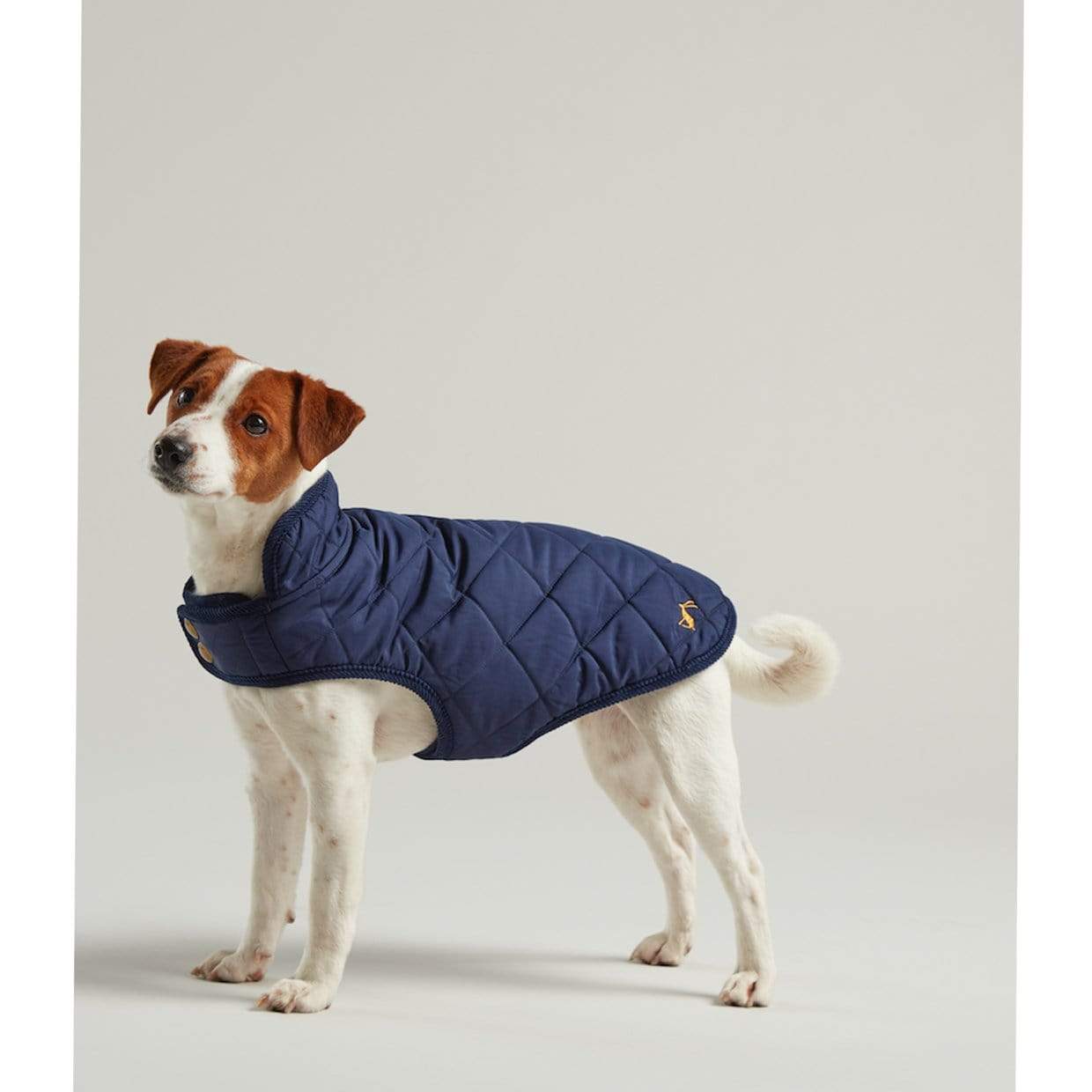 Joules Dog Clothing Navy Quilted Coat
