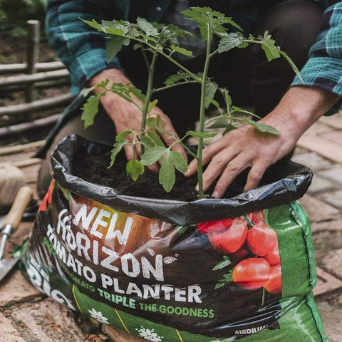 Westland Horticulture Compost New Horizon Tomato Planter