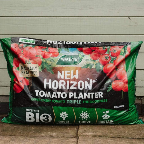 Westland Horticulture Compost New Horizon Tomato Planter