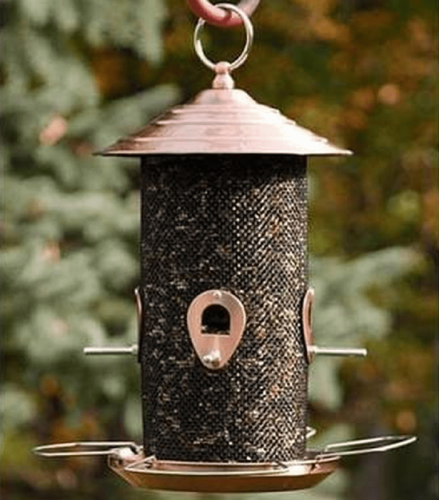 Panacea Brushed Copper Mixed Seed Bird Feeder Trowell Garden Centre