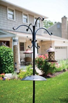 Panacea Bird Feeding Stations & Poles Panacea Deluxe Four-Way Bird Feeding Station with Metal Squirrel Baffle
