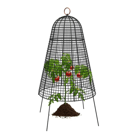 Panacea Bell Cloche Panacea Garden Bell Cloche