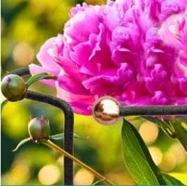 Panacea Garden Arches, Trellises, Arbors & Pergolas Panacea Gardening Wraparound Hoop 40"