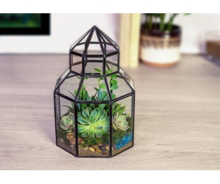 Trowell Garden Centre Panacea glass conservatory Terrarium
