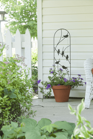 Panacea Topiary Trellis Panacea Perching Birds Pot Trellis