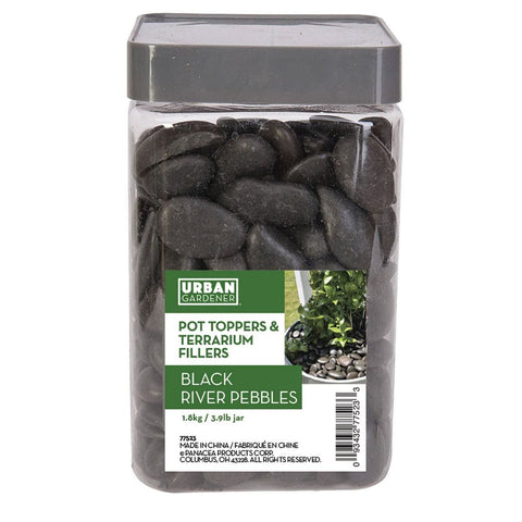 Panacea Terrarium Panacea Terrarium and Pot Fillers - Black River Pebbles