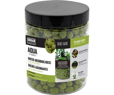 Panacea Terrarium Panacea Terrarium Fillers Aqua Stones - Olive