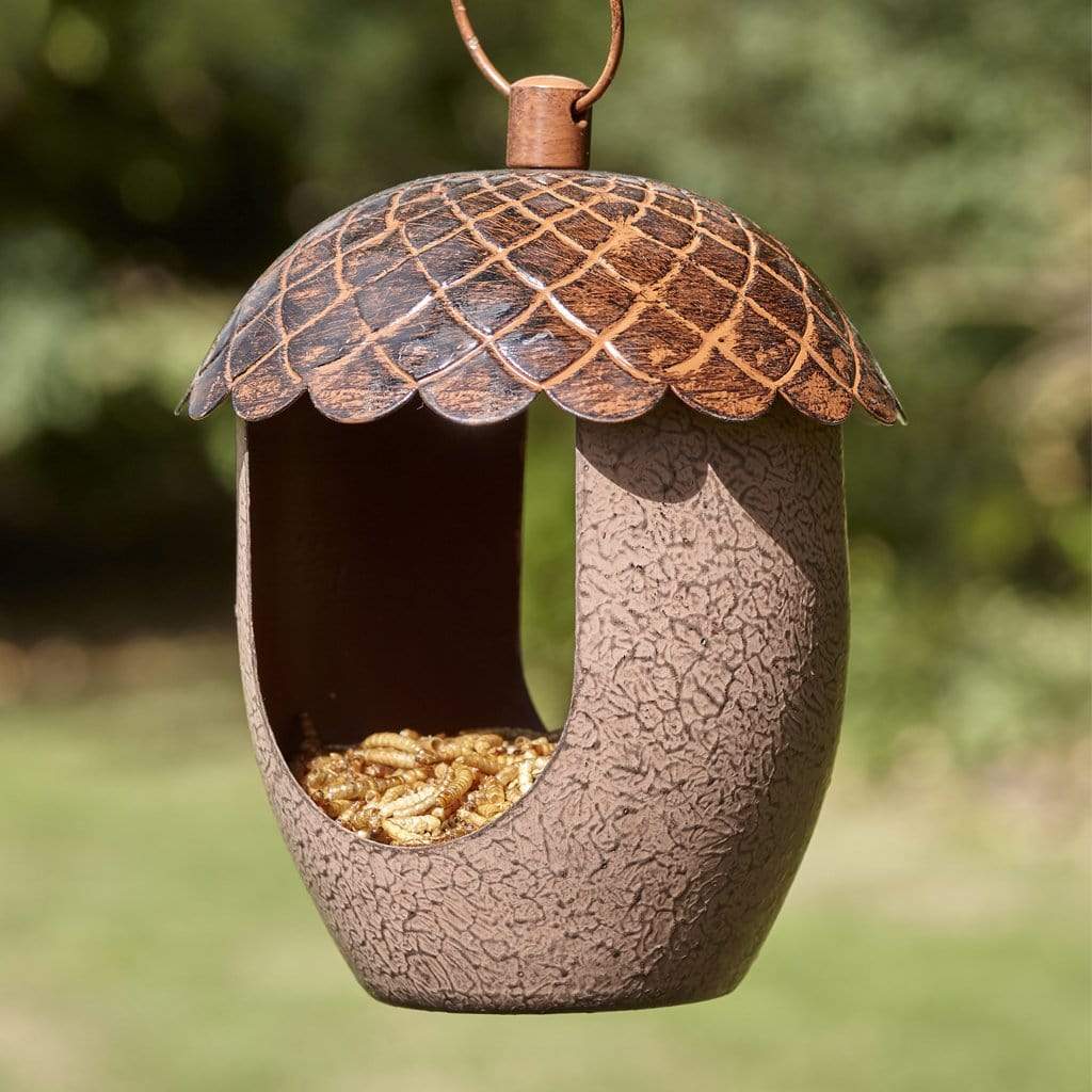 Peckish Bird Feeders Peckish Acorn Treat Feeder