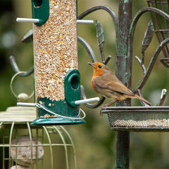 Peckish Seed Feeders Peckish All Weather Large Seed Feeder