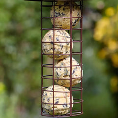 Peckish Suet Fat Balls 6 pack + 100% extra free Peckish Extra Goodness Balls