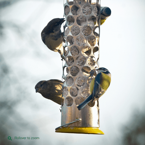 Peckish Bird Feeders Peckish Extra Goodness Nugget Feeder