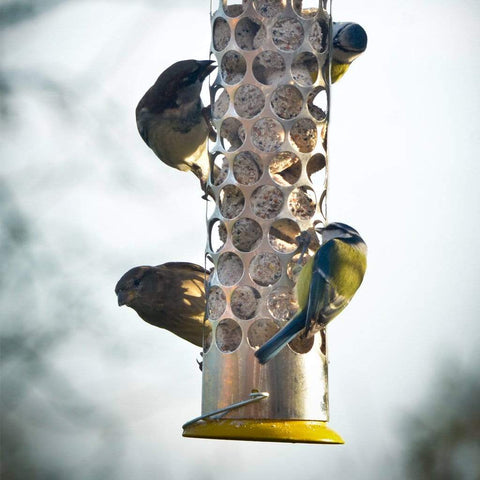 Peckish Fat Balls & Suet Feeders Peckish Extra Goodness Nugget Feeder
