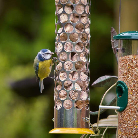 Peckish Suet Pellets Peckish Extra Goodness Nuggets