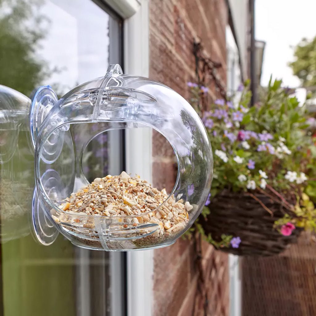 Peckish Seed Feeders Peckish Globe Window Feeder