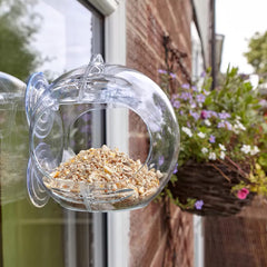 Peckish Seed Feeders Peckish Globe Window Feeder