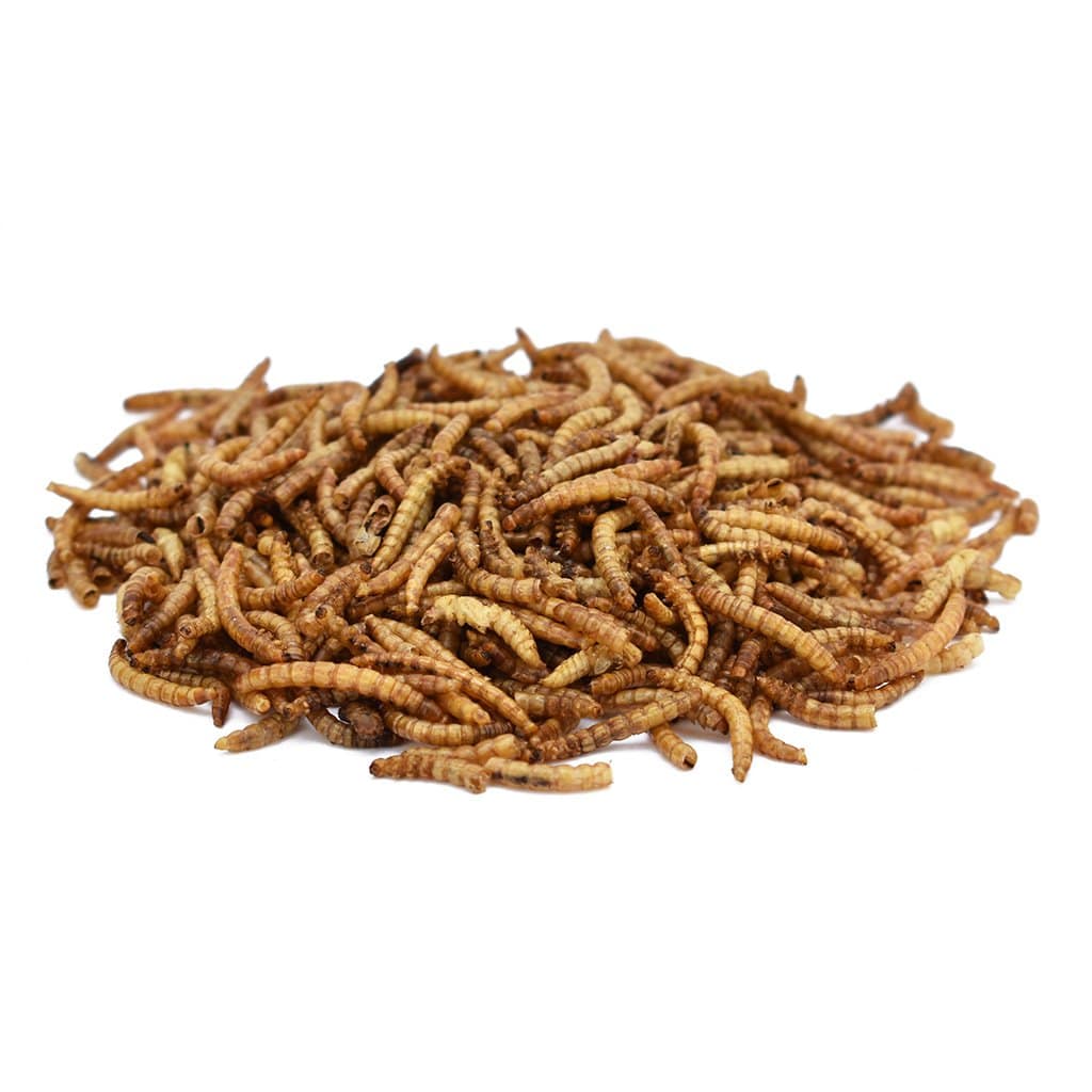 Peckish Mealworm Peckish Mealworms