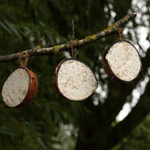 Peckish Suet Coconut Shells Peckish Natural Balance Coconut Feeders