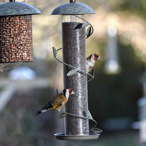 Peckish Nyjer Seed Peckish Nyjer Seed