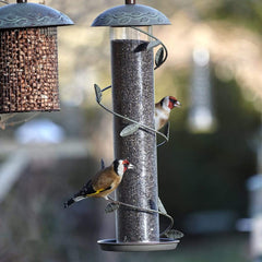 Peckish Nyjer Seed Peckish Nyjer Seed