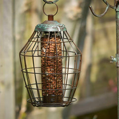 Peckish Peanuts Peckish Peanut Kernels