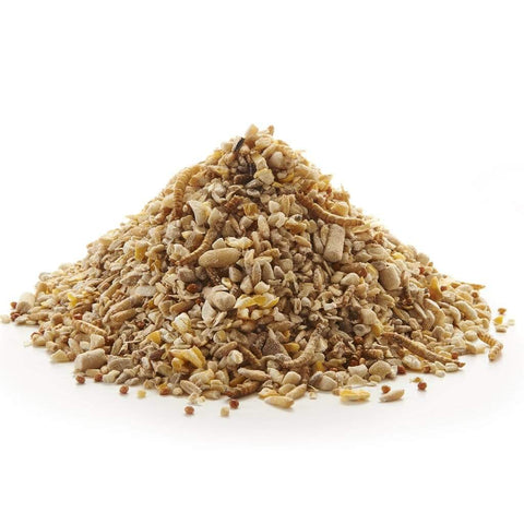 Peckish Bird Seed Mixes Peckish Robin Insect Seed Mix