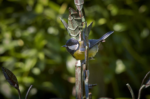 Secret Garden Bird Feeding Stations & Poles Peckish Secret Garden Dining Station