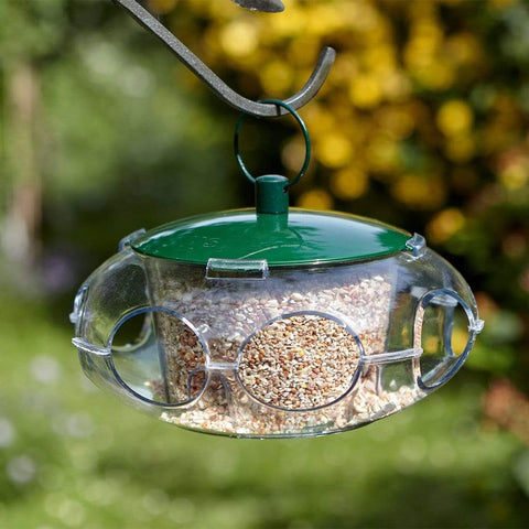 Peckish Seed Feeders Peckish Small Bird Seed Feeder