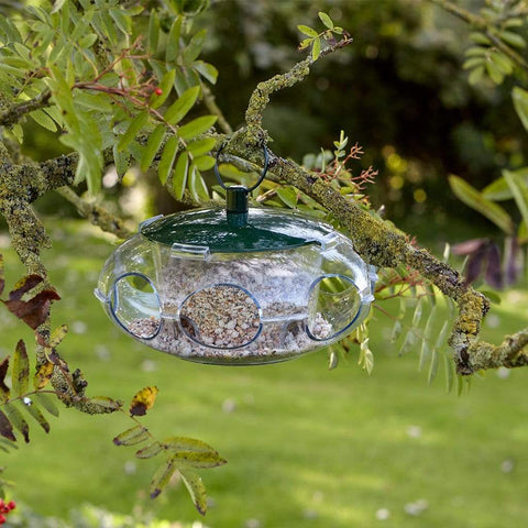 Peckish Seed Feeders Peckish Small Bird Seed Feeder