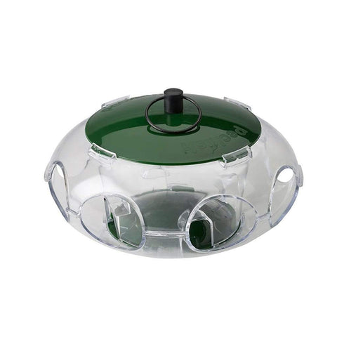 Peckish Seed Feeders Peckish Small Bird Seed Feeder