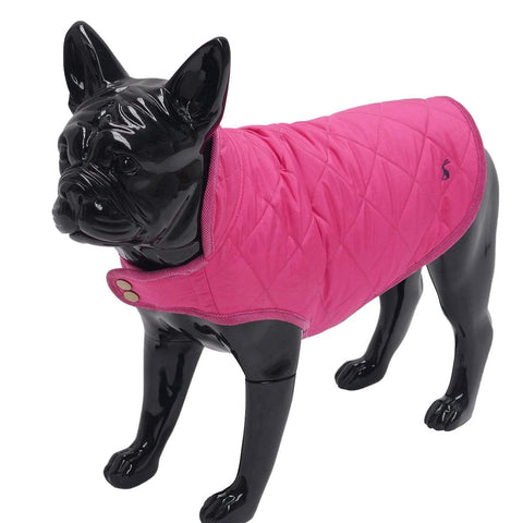 Joules Dog Clothing Raspberry Quilted Coat
