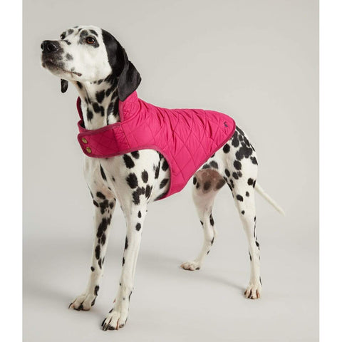 Joules Dog Clothing Raspberry Quilted Coat