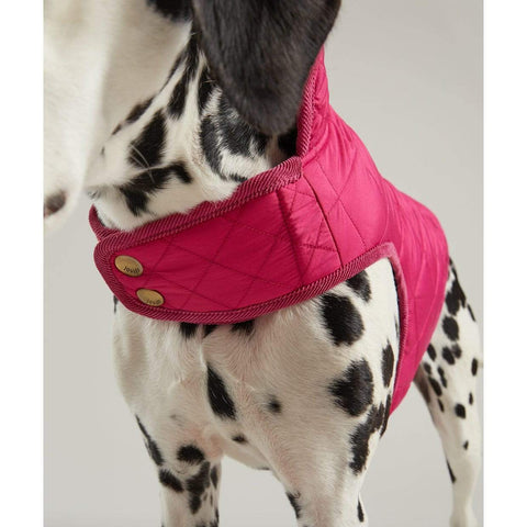 Joules Dog Clothing Raspberry Quilted Coat