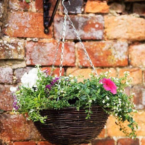 Rattan Hanging Basket Trowell Garden Centre