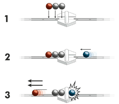 Ravensburger Eductional toys Ravensburger Gravitrax Expansion Magnetic Cannon