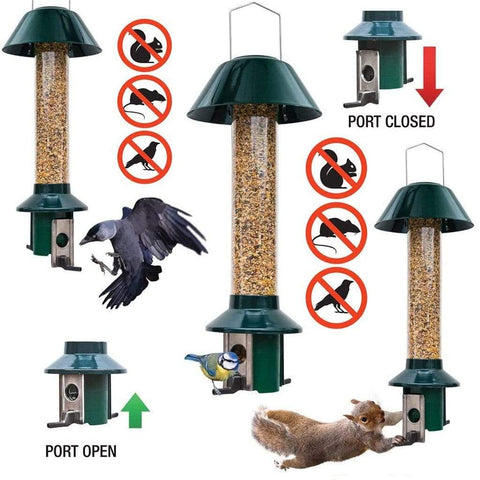 Pestoff Squirrel Proof Feeders Roamwild Pestoff Squirrel Proof Wild Bird Seed Feeder