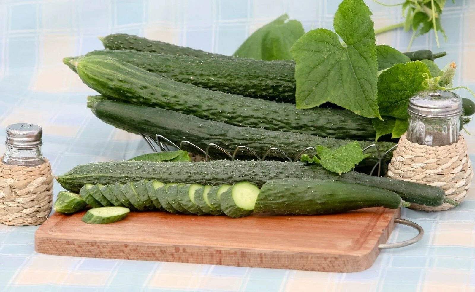 Robinson Seeds Seeds Robinsons Seed King George Cucumber Seed
