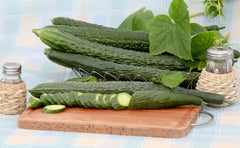 Robinson Seeds Seeds Robinsons Seed King George Cucumber Seed