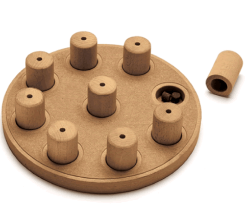 Rosewood Dog Learning Rosewood Dog Smart Composite Learning Game