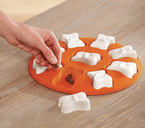 Rosewood Dog Learning Rosewood Dog Smart Orange Bone Learning Game