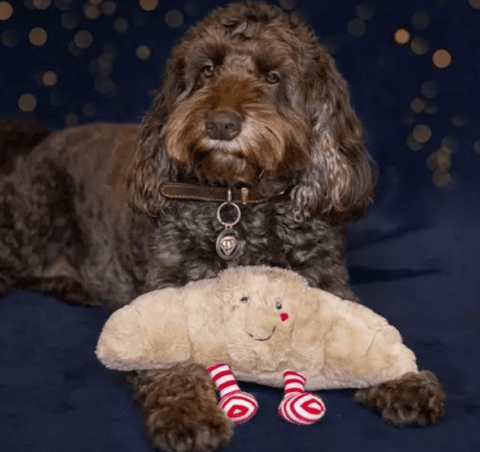 Rosewood Dog Toys Rosewood Festive Christmas Croissant Dog Toy XL