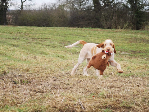 Rosewood Dog Toys Rosewood Festive Giggling Bear