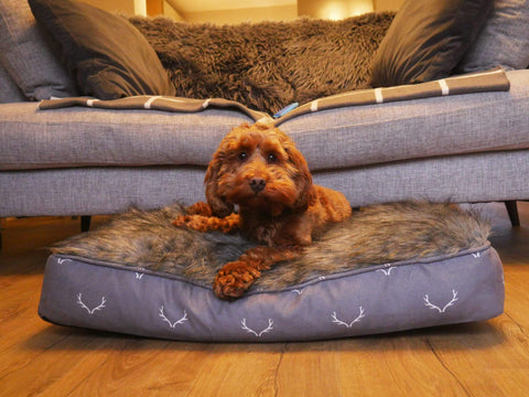 Rosewood Dog Beds & Mattresses Rosewood Wolf & Tiger Antler Hygge Mattress Dog Bed