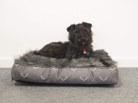 Rosewood Dog Beds & Mattresses Rosewood Wolf & Tiger Antler Hygge Mattress Dog Bed